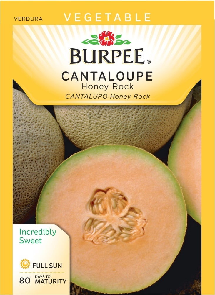 slide 1 of 1, Burpee Honey Rock Cantaloupe Seeds, 1 ct