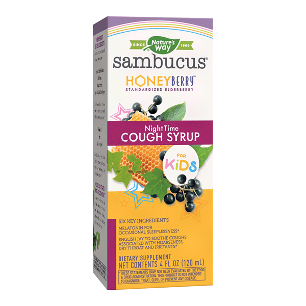 slide 1 of 1, Nature's Way Sambucus Kids Honey Berry Night Cough Syrup, 1 ct