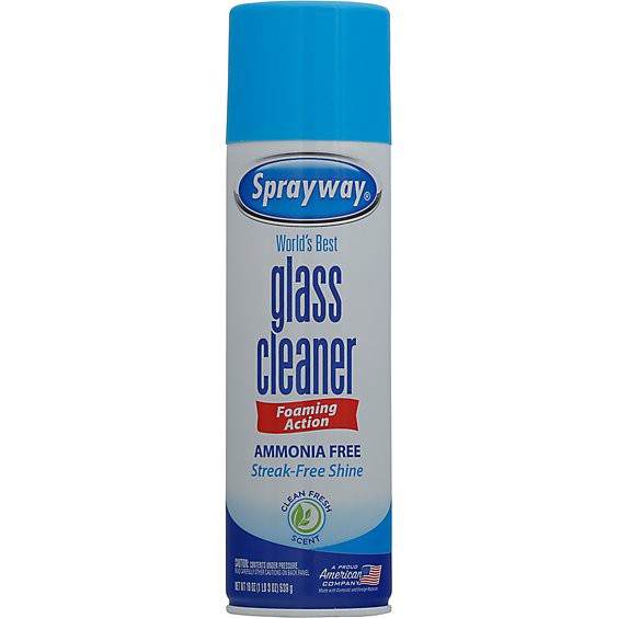 slide 1 of 9, Sprayway Glass Cleaner - 19 Oz, 19 fl oz