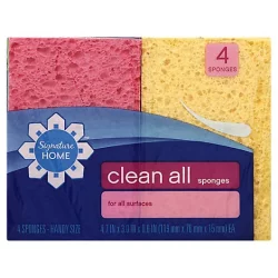 Signature Select Clean All Sponges For All Surfaces Handy Size