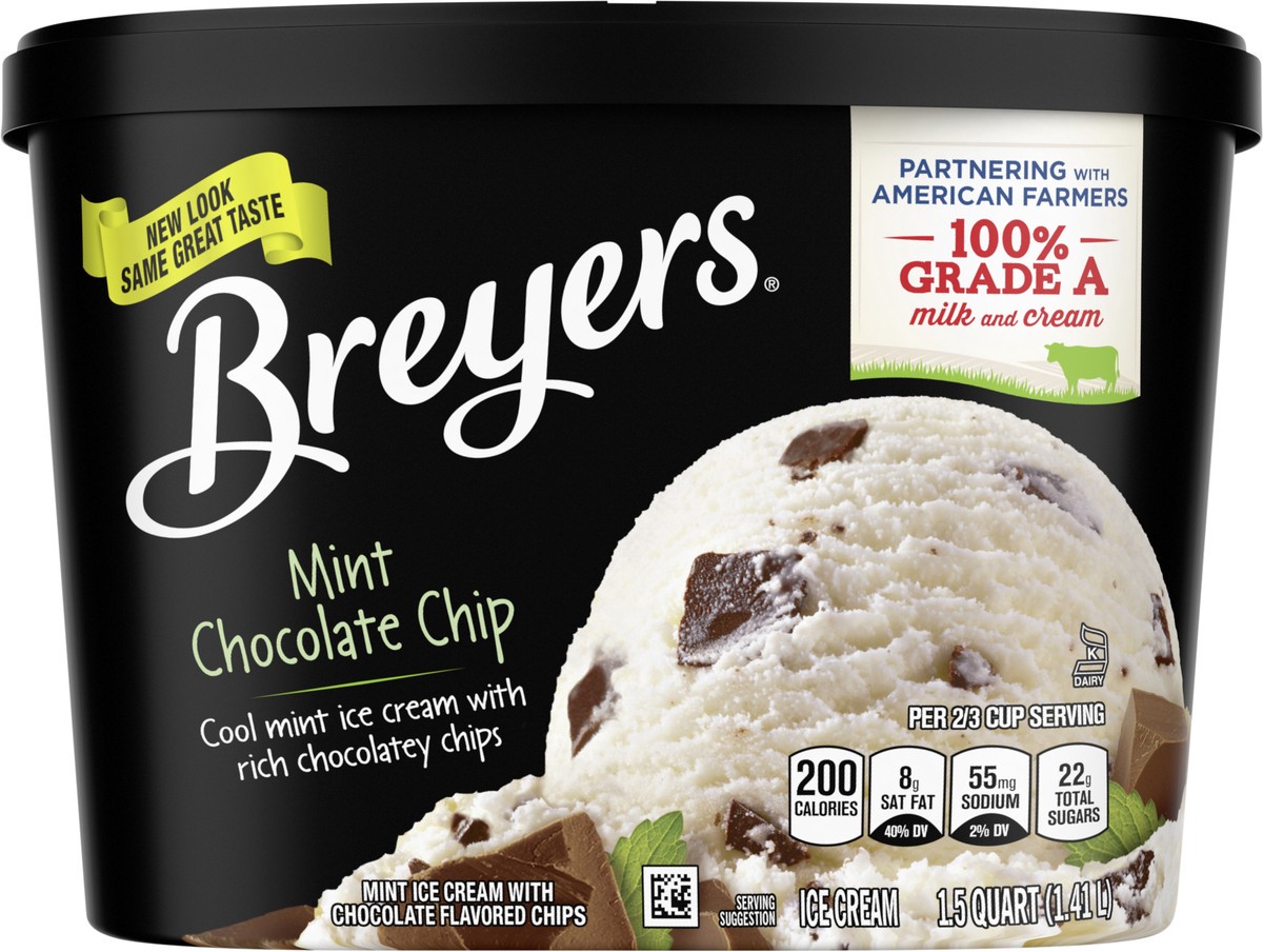 slide 3 of 3, Breyers Mint Chocolate Chip Ice Cream, 1 ct