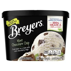 Breyers Ice Cream Mint Chocolate Chip, 48 oz
