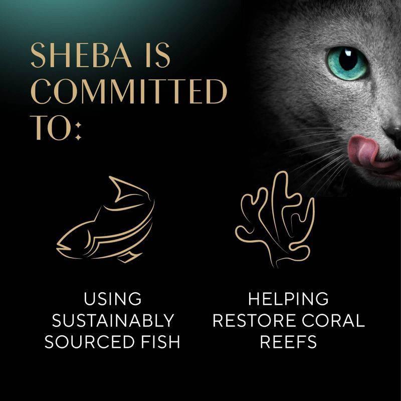 slide 8 of 12, Sheba Perfect Portions Chicken and Turkey Flavor Pate Wet Cat Food - 2.64oz/12ct, 2.64 oz, 12 ct