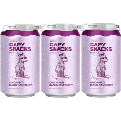 Urban Artifact Capy Snacks Fruit Ale Cincinnati Black Raspberry Beer 6 - 12 fl oz Cans