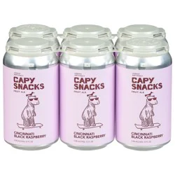 Urban Artifact Capy Snacks Fruit Ale Cincinnati Black Raspberry Beer 6 - 12 fl oz Cans