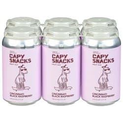 Urban Artifact Capy Snacks Fruit Ale Cincinnati Black Raspberry Beer 6 - 12 fl oz Cans