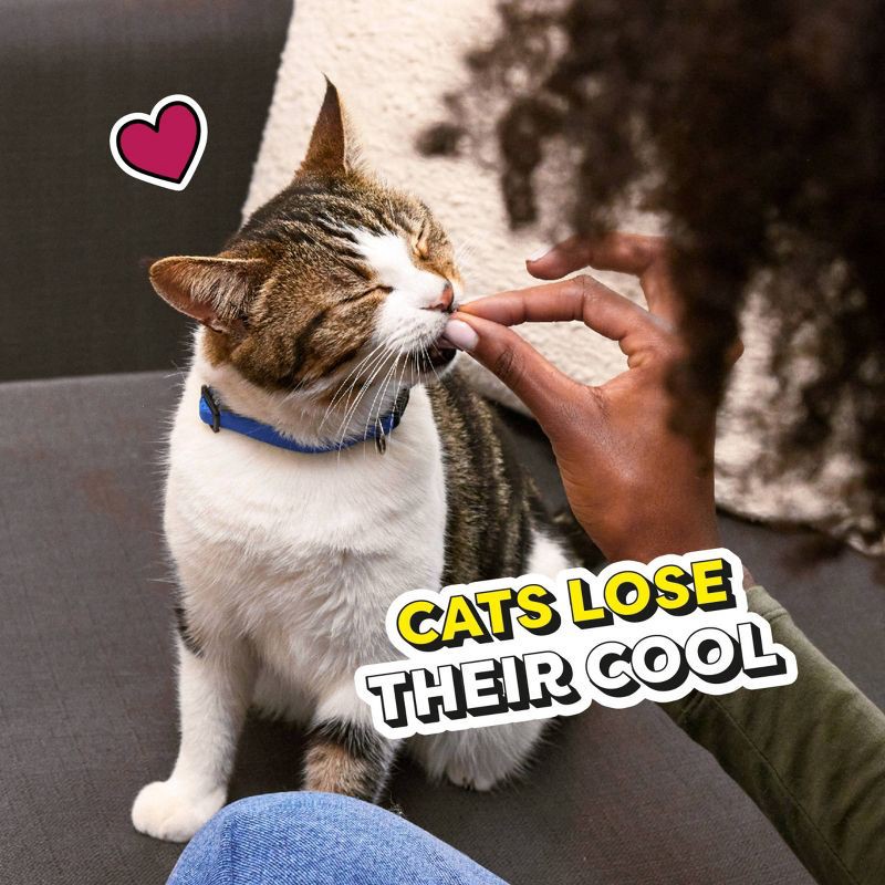 slide 7 of 12, Temptations Mix Ups Surfers Delight Cat Treats with Shrimp Tuna and Salmon - 16oz, 16 oz