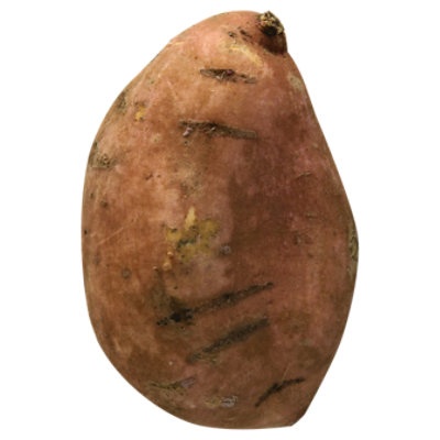 slide 1 of 1, Mushroom King Oyster - 0.25 Lb, per lb