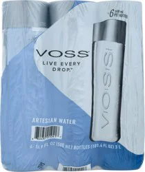 Voss Artesian Water 6 Bottles - 6 ct