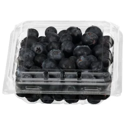 Organic Blueberries
