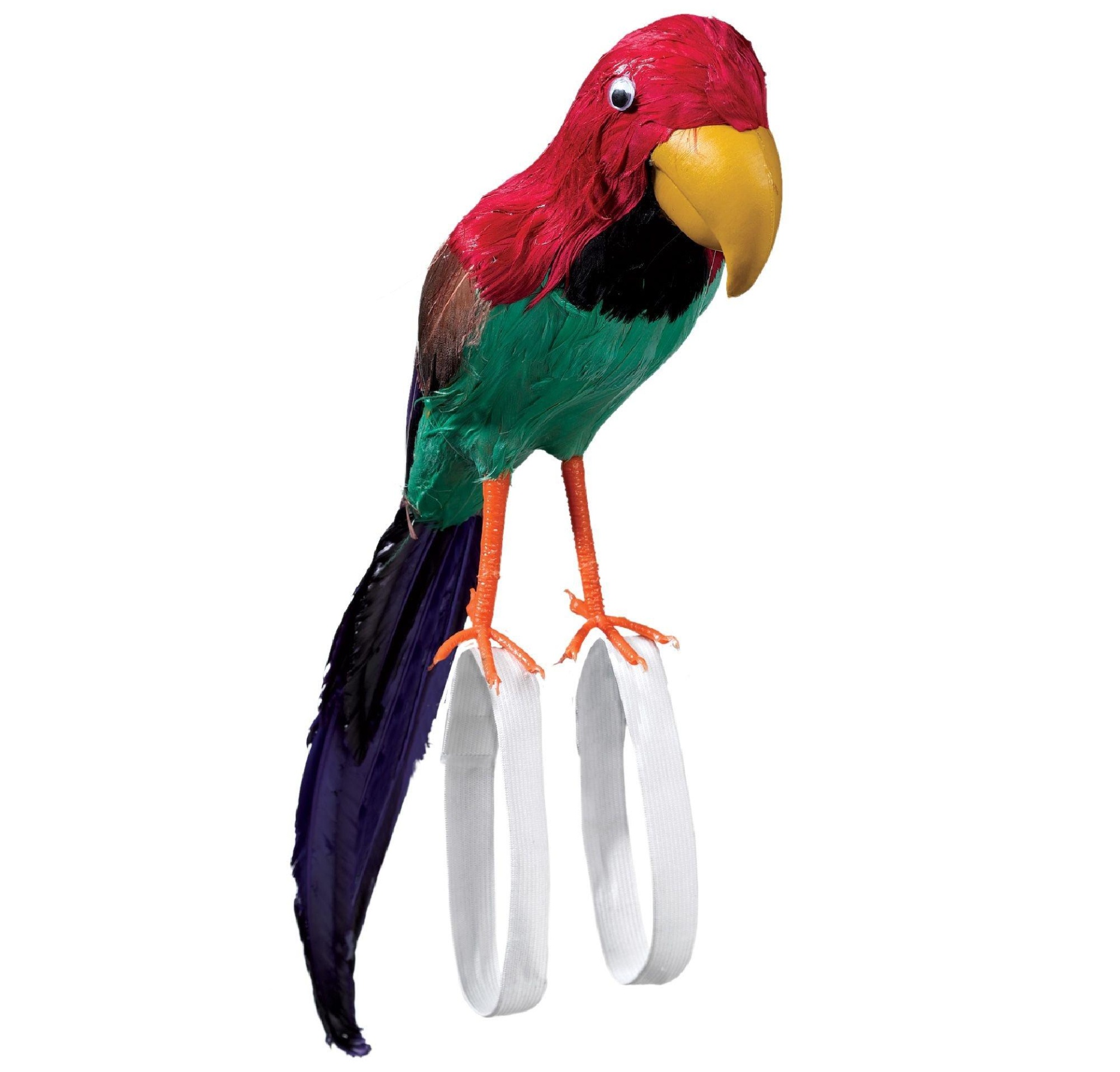 slide 1 of 1, Party City Pirate Parrot, 1 ct