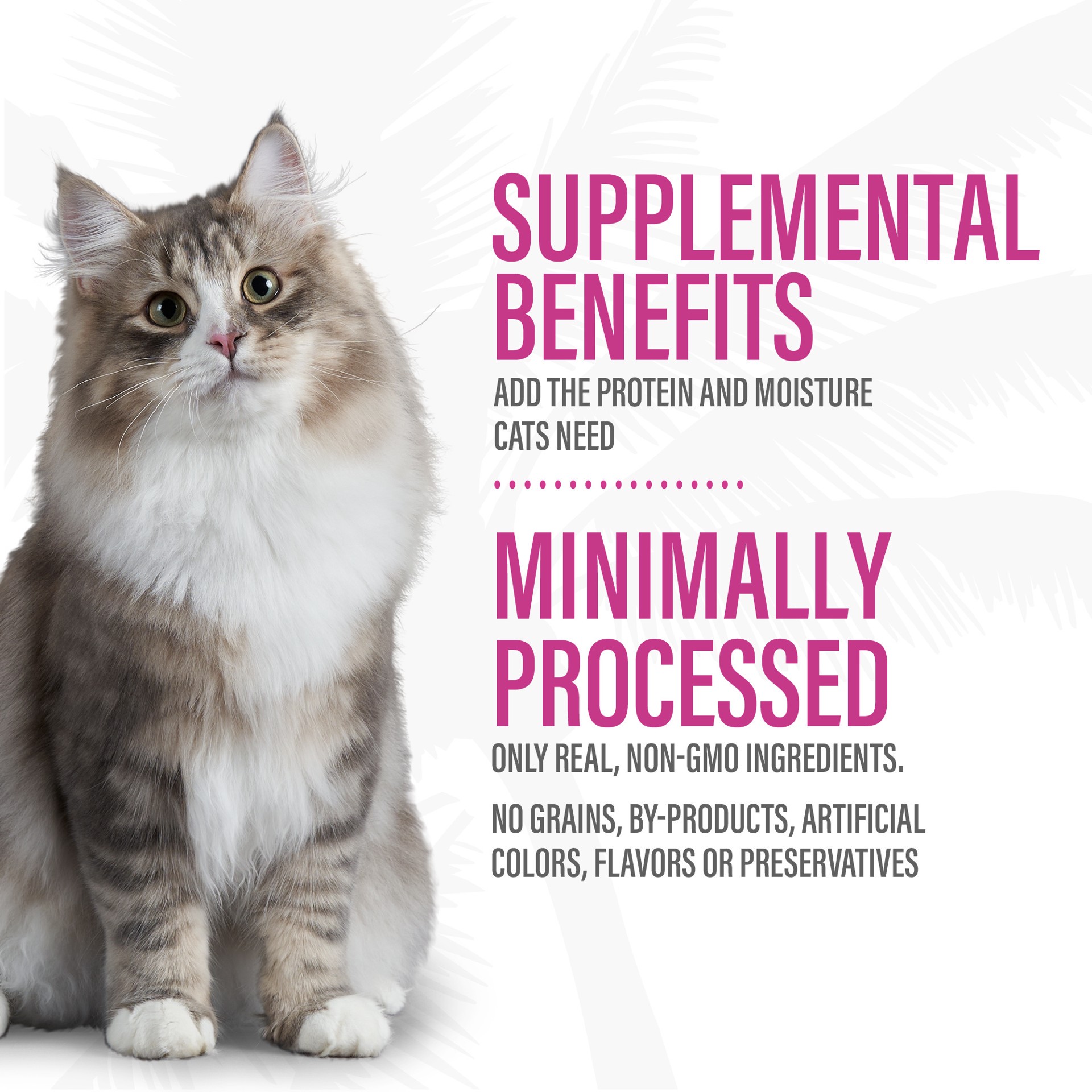 slide 8 of 9, Tiki Cat® Born Carnivore Complements Cat Food Topper - Grain Free, 2.1 Oz, 2.1 oz