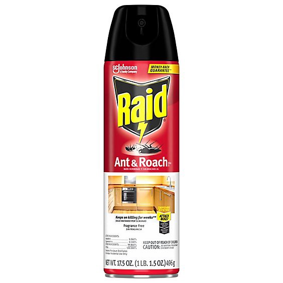 slide 1 of 7, Raid Fragrance Free Ant And Roach Killer 26 Insecticide Aerosol Spray - 17.5 Oz, 17.5 oz