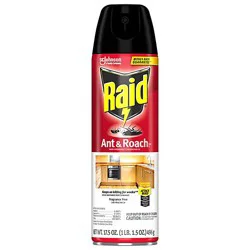 Raid Fragrance Free Ant And Roach Killer 26 Insecticide Aerosol Spray - 17.5 Oz
