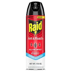 Raid Outdoor Fresh Scent Ant And Roach Killer Insecticide Aerosol Spray - 17.5 Oz