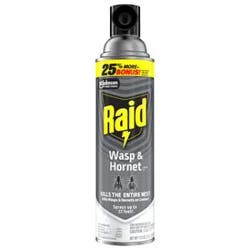 Raid Wasp & Hornet Killer Insecticide Aerosol Spray - 17.5 Oz