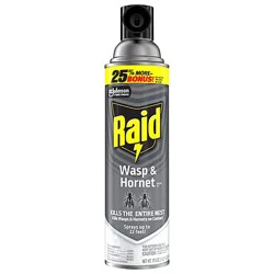 Raid Wasp & Hornet Killer Insecticide Aerosol Spray - 17.5 Oz