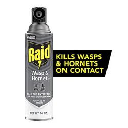 Raid Wasp And Hornet Killer Insecticide Aerosol Spray - 14 Oz