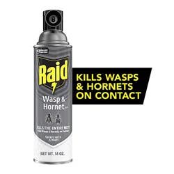 Raid Wasp And Hornet Killer Insecticide Aerosol Spray - 14 Oz
