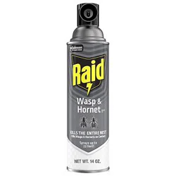 Raid Wasp And Hornet Killer Insecticide Aerosol Spray - 14 Oz