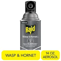 Raid Wasp And Hornet Killer Insecticide Aerosol Spray - 14 Oz