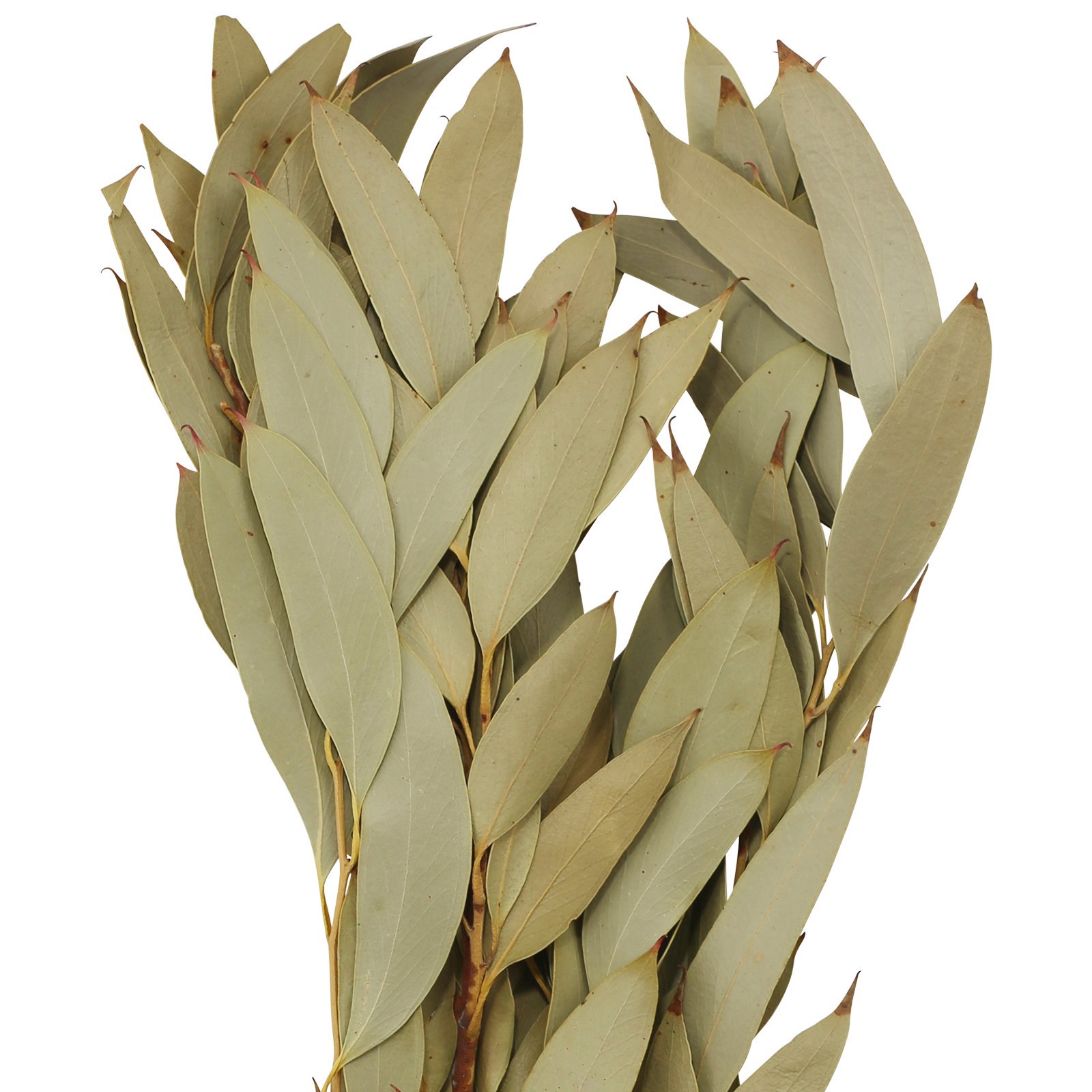 slide 2 of 2, 21" Amber Fruit Foliage Bundle By Ashland, 21 in