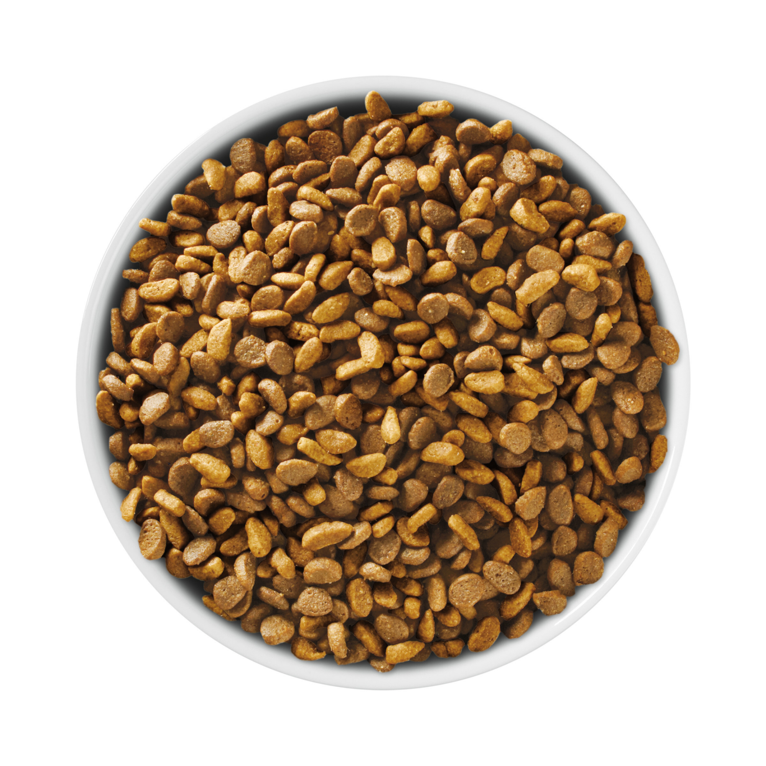 slide 2 of 8, ONE Purina ONE High Protein, Natural Dry Kitten Food, +Plus Healthy Kitten Formula - 7 lb. Bag, 7 lb