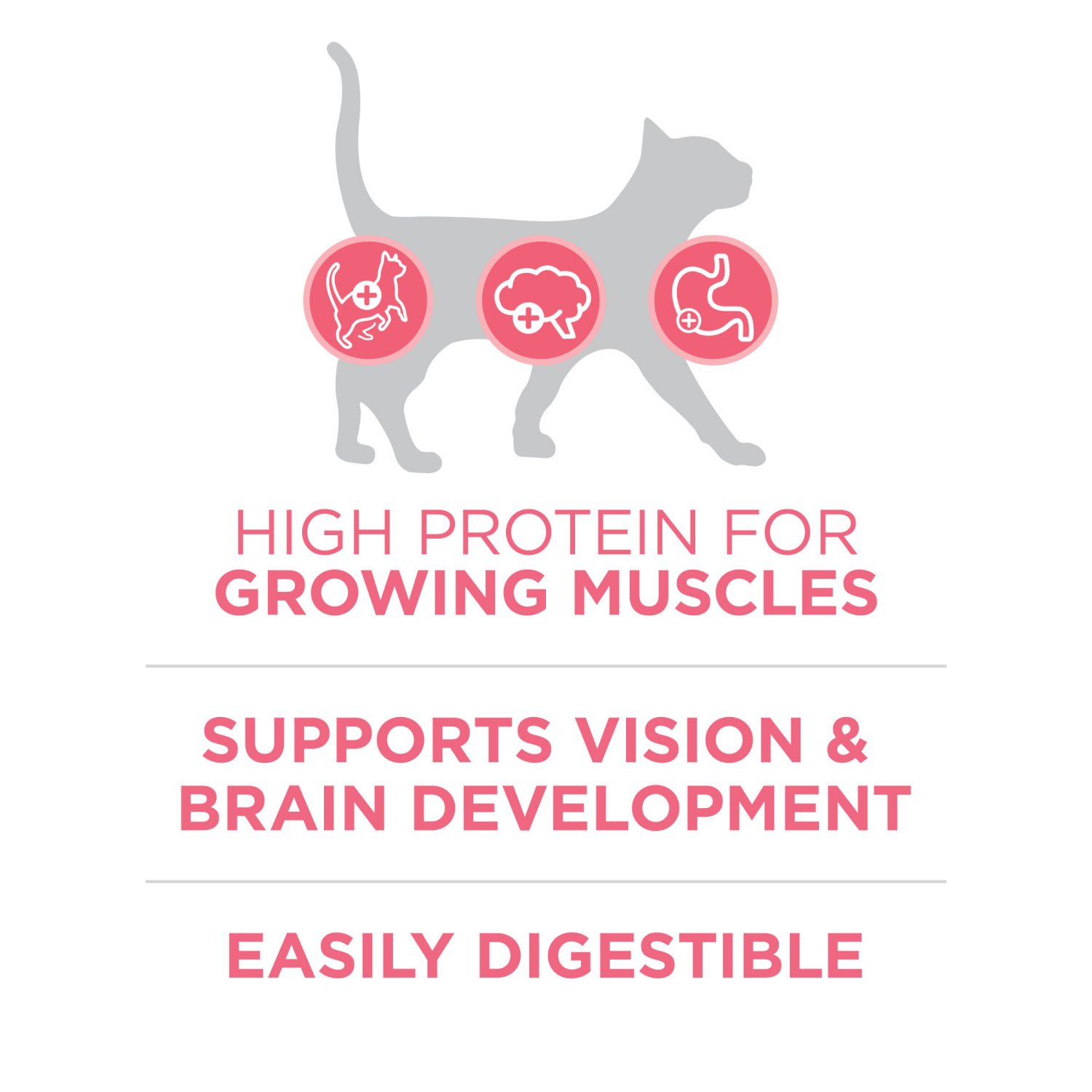 slide 5 of 8, ONE Purina ONE High Protein, Natural Dry Kitten Food, +Plus Healthy Kitten Formula - 7 lb. Bag, 7 lb