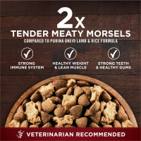 slide 19 of 29, ONE Purina One True Instinct Lean Muscle Support With Real Beef Natural With Added Vitamins, Minerals and Nutrients High Protein Dog Food, 27.50 lb