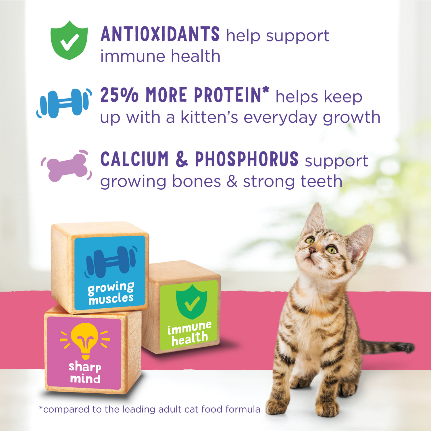 slide 6 of 8, Cat Chow Kitten Chow Healthy Development Salmon Dry Cat Food 14 lb, 14 lb
