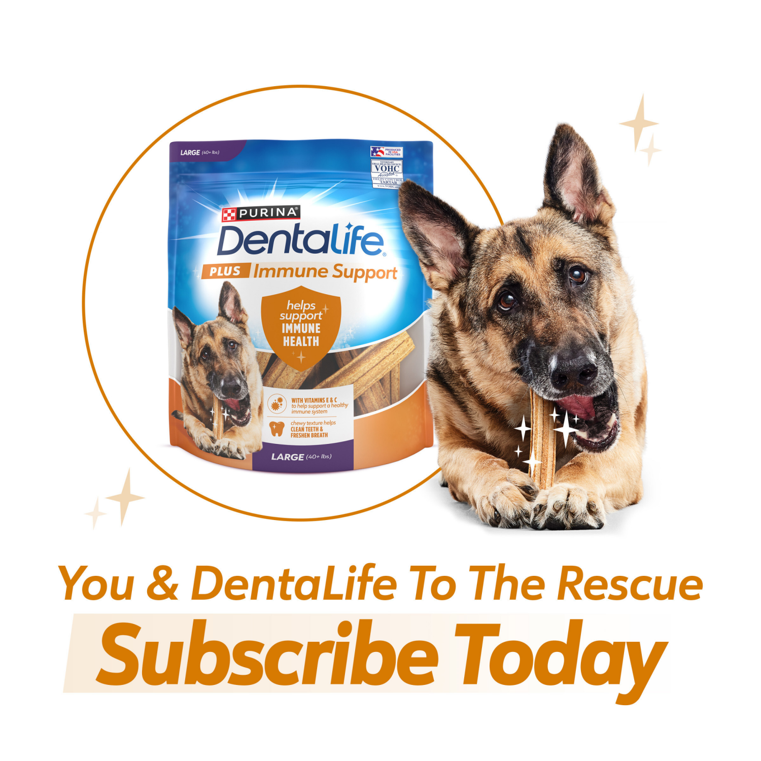slide 7 of 8, Purina Dentalife Plus Immune Support Chicken, Apple and Blueberry Flavor Large Dog Dental Chews 7 oz - 6 ct. Pouch, 6 ct; 7 oz