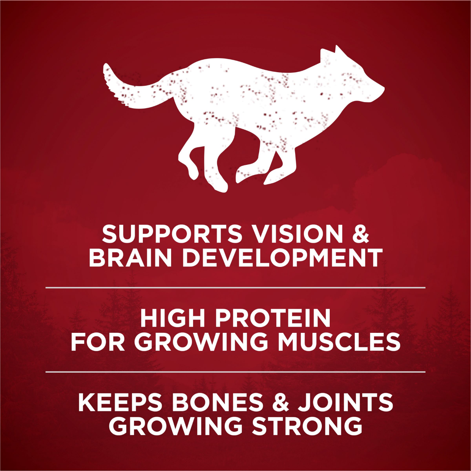 slide 3 of 8, Purina ONE True Instinct With Real Chicken and Duck High Protein Puppy Food Formula Natural With Added Vitamins, Minerals and Nutrients - 7.4 lb. Bag, 7.4 lb