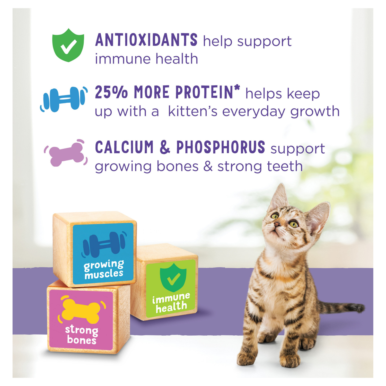 slide 3 of 5, Kitten Chow Purina Kitten Chow Kitten Food Healthy Development with Real Chicken Dry Kitten Food - 14 lb. Bag, 14 lb