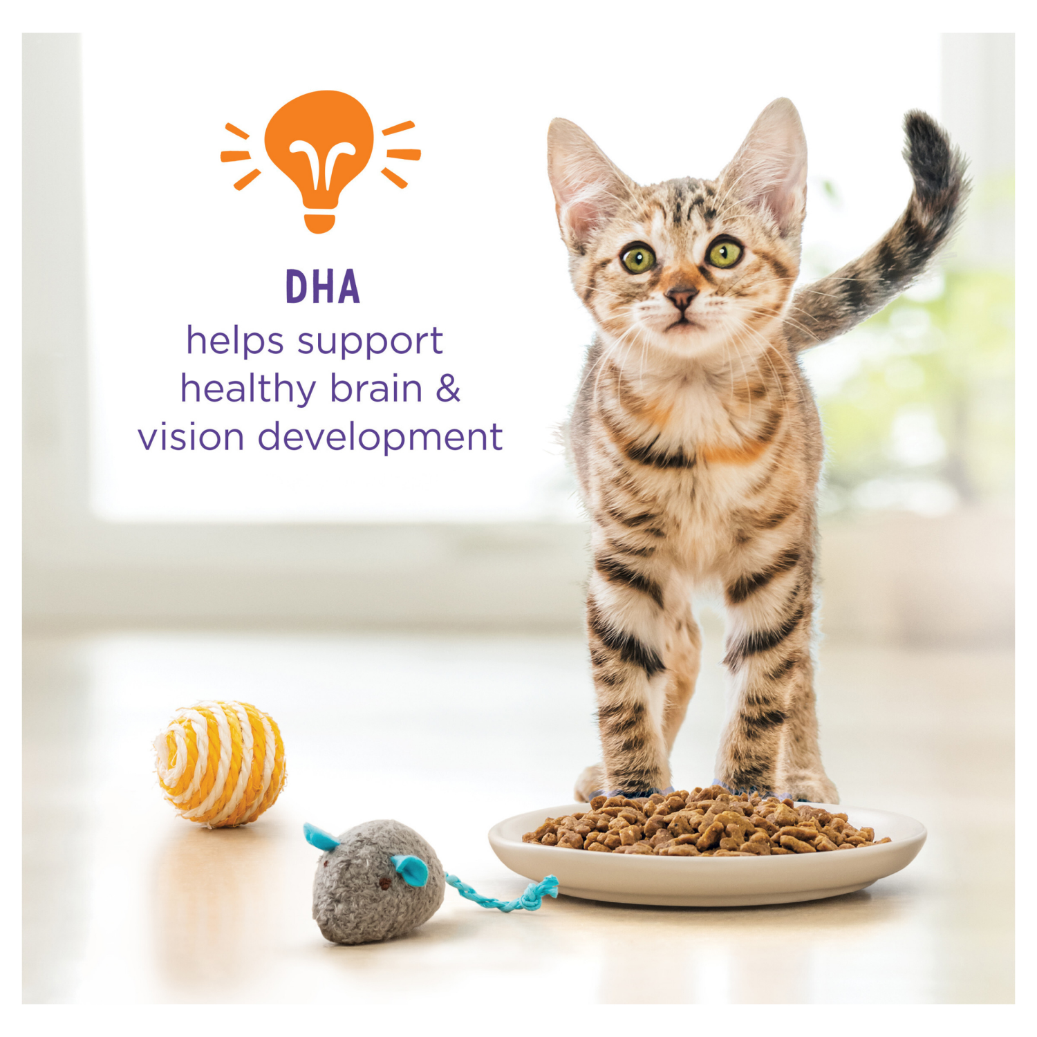 slide 5 of 5, Kitten Chow Purina Kitten Chow Kitten Food Healthy Development with Real Chicken Dry Kitten Food - 14 lb. Bag, 14 lb