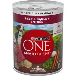 Purina ONE Tender Cuts in Gravy Beef and Barley Entree in Wet Dog Food Gravy - 13 oz. Can