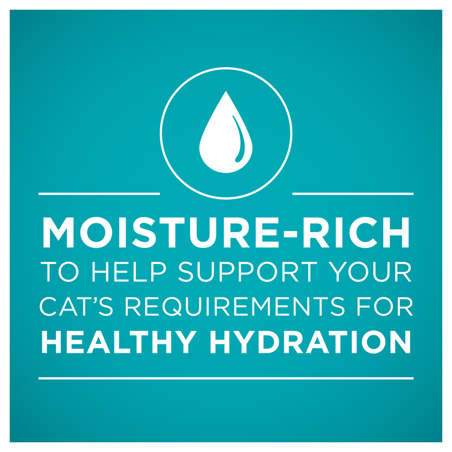 slide 3 of 5, Purina ONE Natural, High Protein Cat Food, Turkey Recipe in Gravy - 3 oz. Pull-Top Can, 3 oz