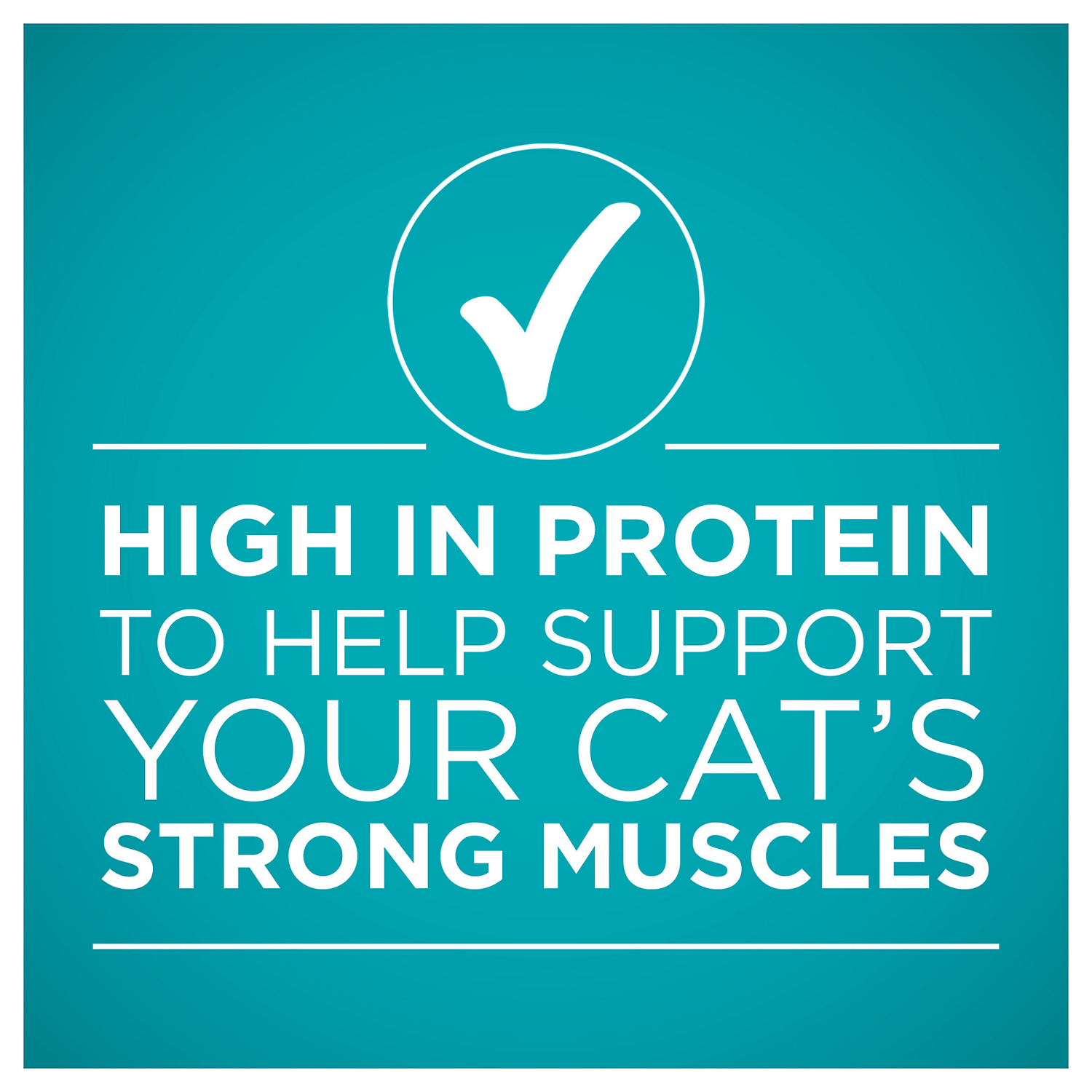 slide 5 of 5, Purina ONE Natural, High Protein Cat Food, Turkey Recipe in Gravy - 3 oz. Pull-Top Can, 3 oz