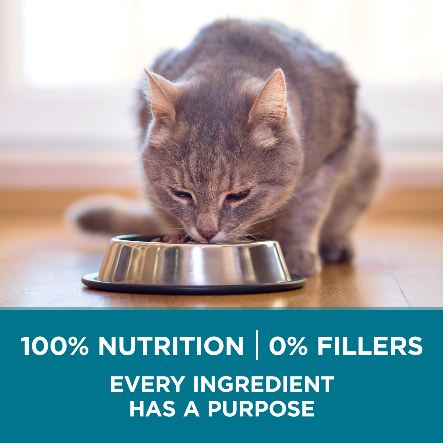 slide 5 of 5, ONE Purina ONE Natural Dry Cat Food, Tender Selects Blend With Real Salmon, 22 lb