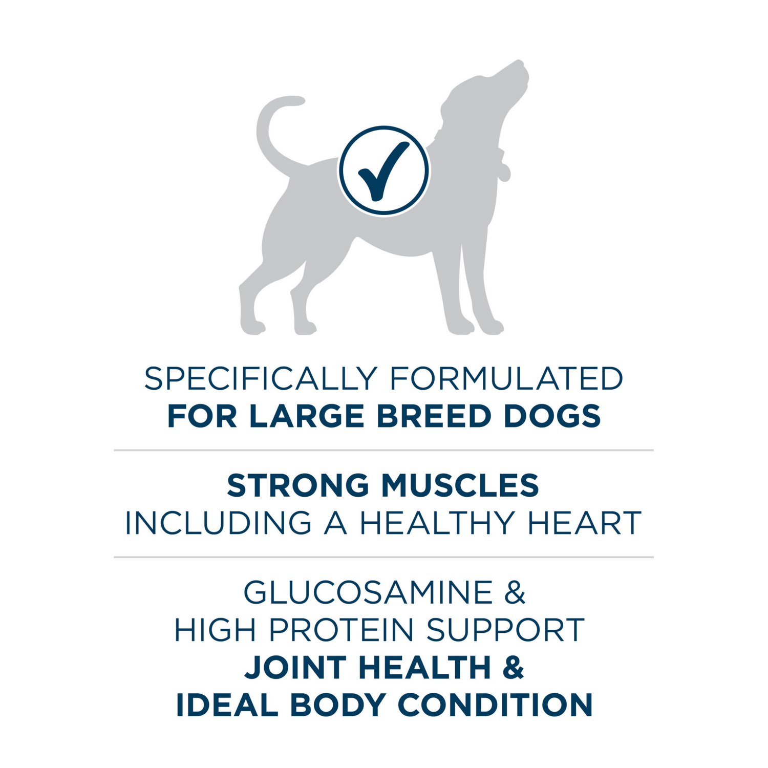 slide 5 of 8, ONE Purina ONE Plus Large Breed Adult Dog Food Dry Formula, 16.5 lb