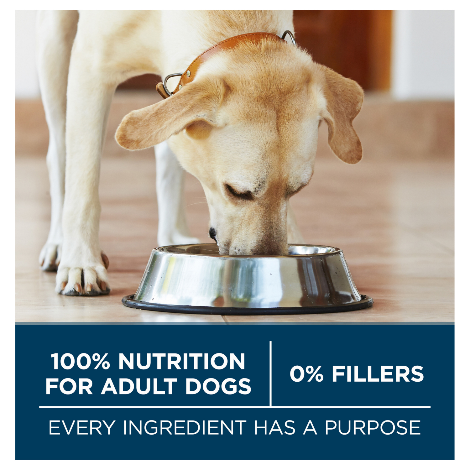 slide 8 of 8, ONE Purina ONE Plus Large Breed Adult Dog Food Dry Formula, 16.5 lb