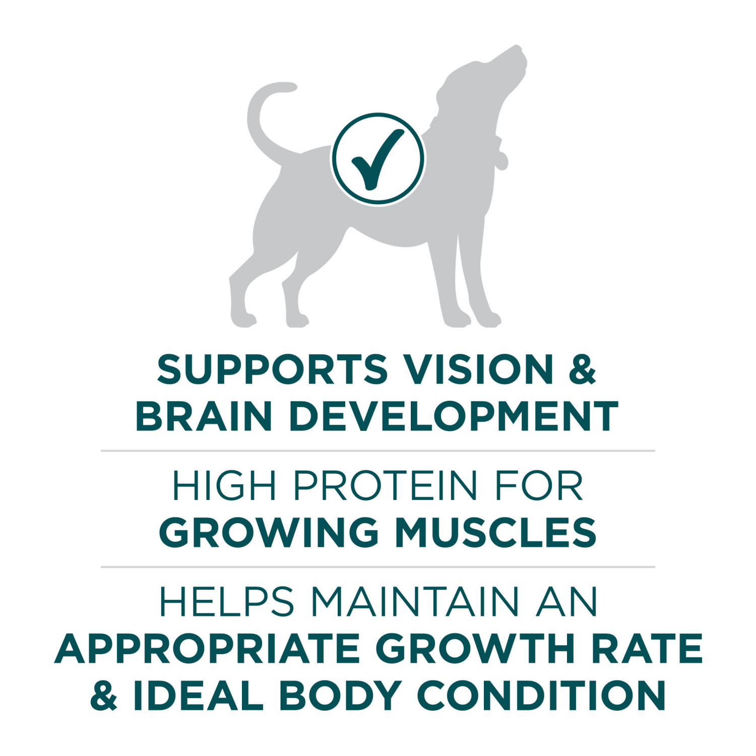 slide 5 of 8, Purina ONE Natural, High Protein, Large Breed Dry Puppy Food, +Plus Large Breed Formula - 31.1 lb. Bag, 31.1 lb