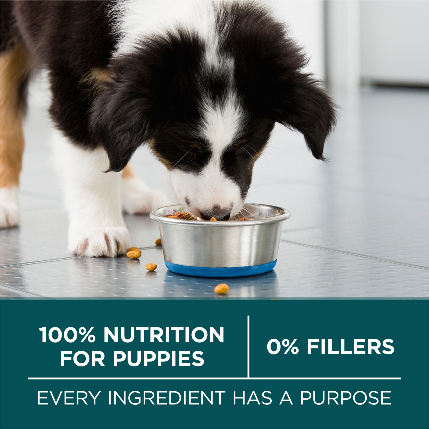 slide 8 of 8, Purina ONE Natural, High Protein, Large Breed Dry Puppy Food, +Plus Large Breed Formula - 31.1 lb. Bag, 31.1 lb