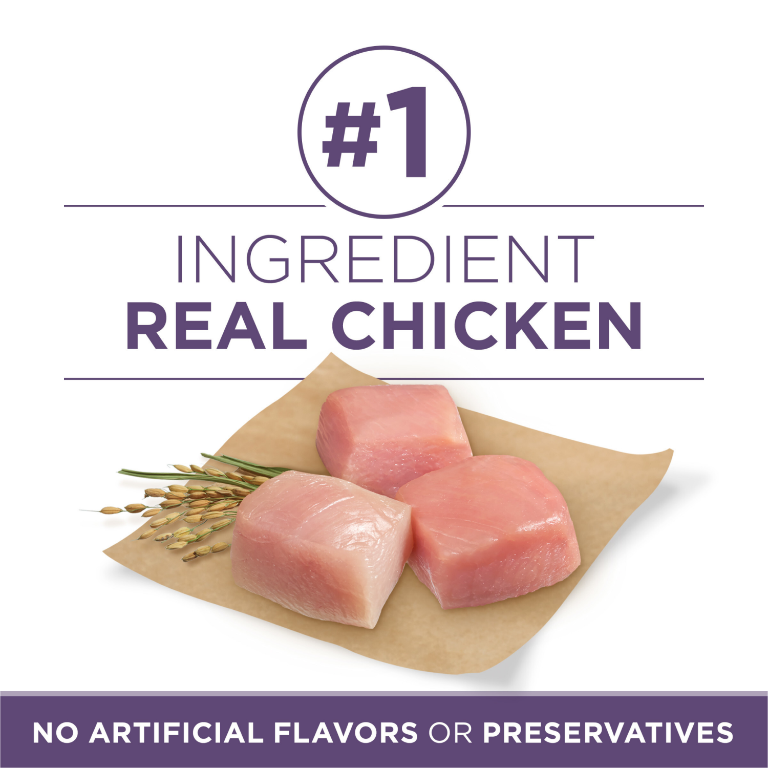 slide 4 of 8, Purina ONE High Protein Senior Dry Dog Food, +Plus Vibrant Maturity Adult 7+ Formula - 31.1 lb. Bag, 31.1 lb