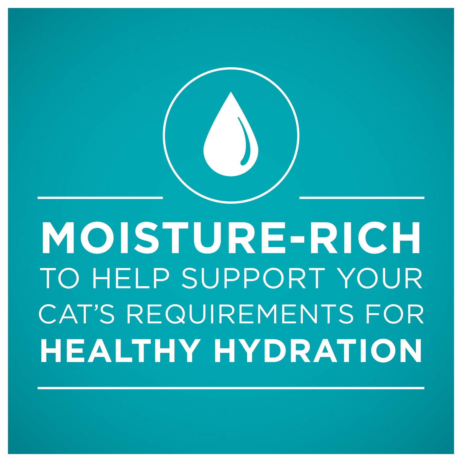 slide 3 of 5, Purina ONE Natural Weight Control Wet Cat Food, Ideal Weight White Meat Chicken Recipe in Sauce - 3 oz. Pull-Top Can, 3 oz