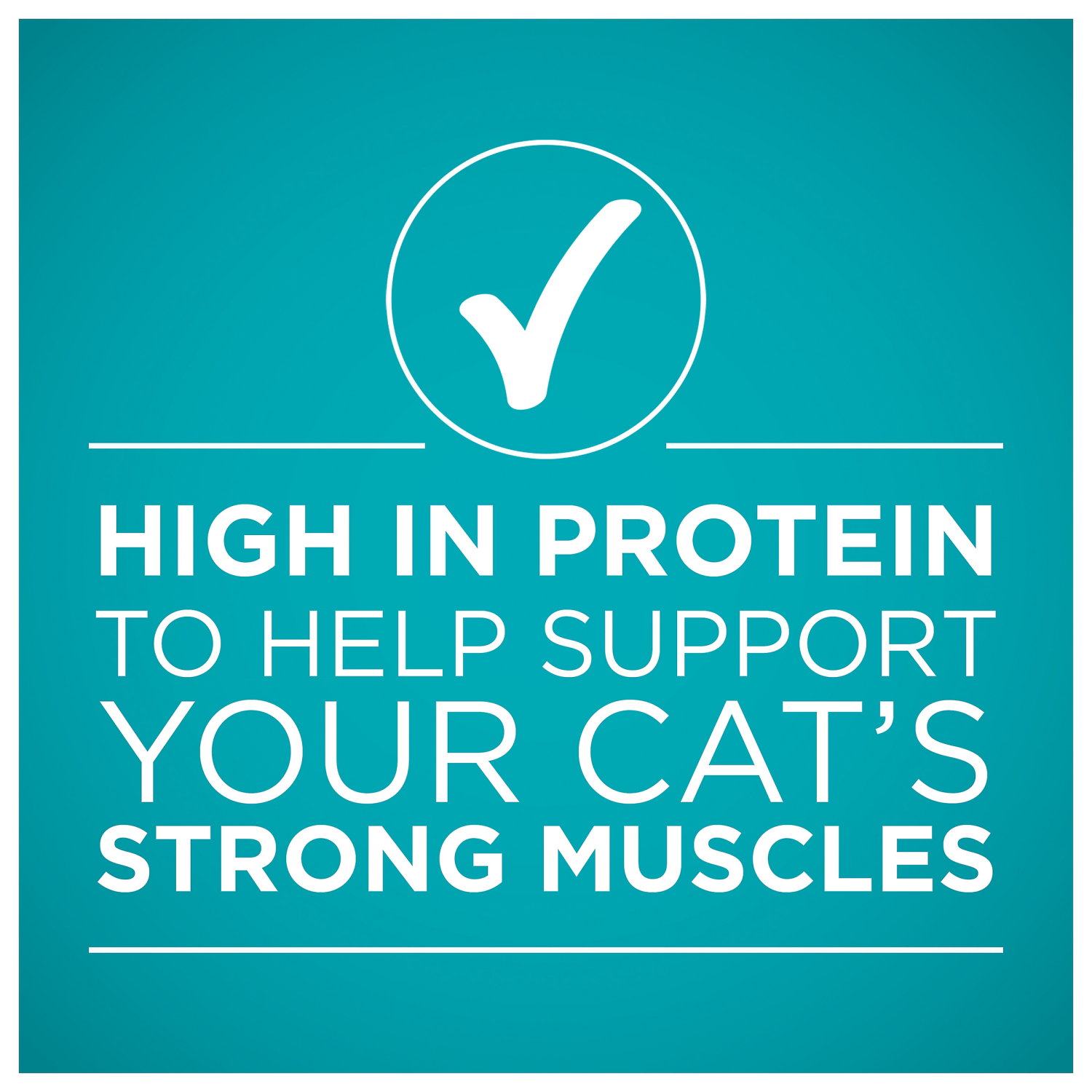 slide 5 of 5, Purina ONE Natural Weight Control Wet Cat Food, Ideal Weight White Meat Chicken Recipe in Sauce - 3 oz. Pull-Top Can, 3 oz