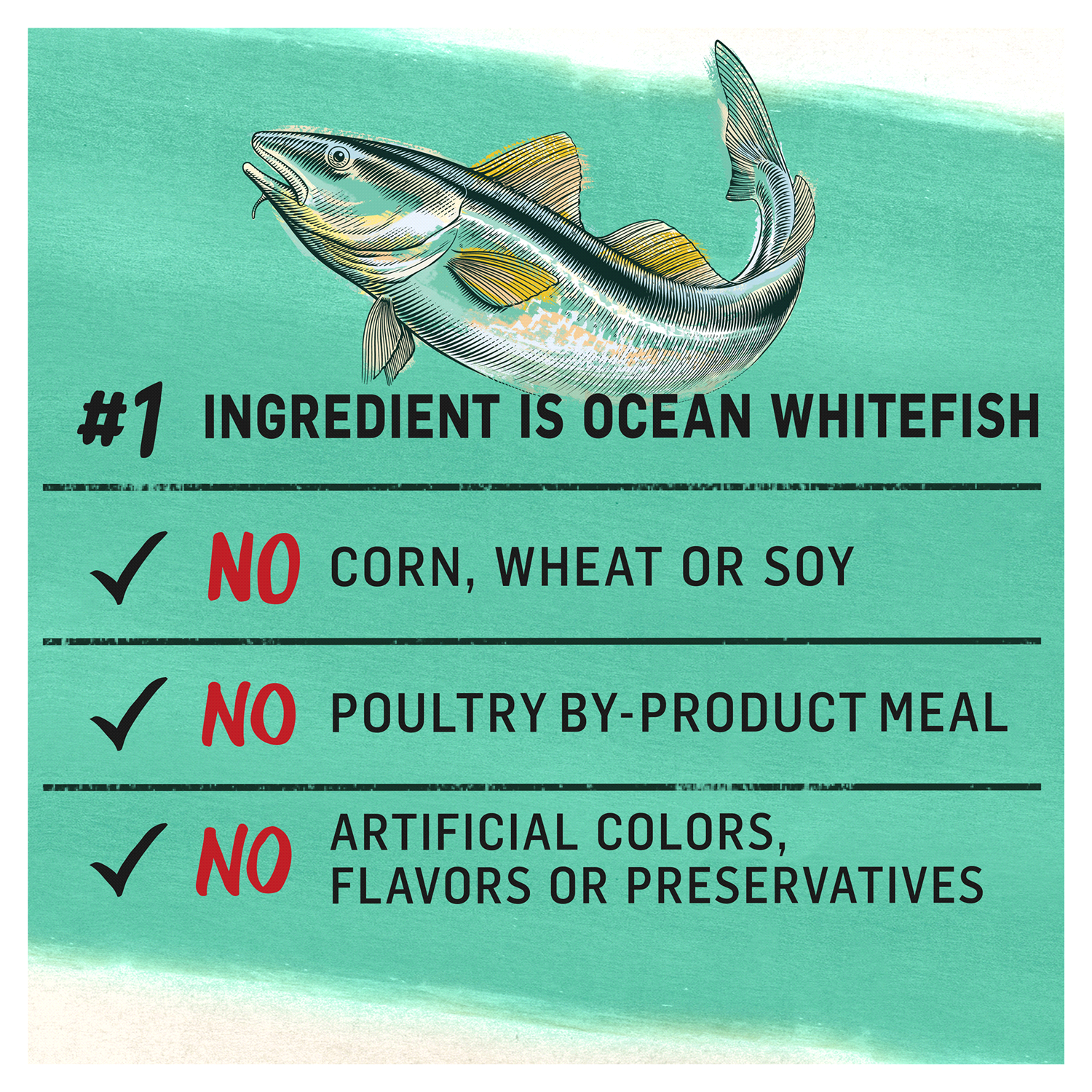 slide 3 of 5, Purina Beyond Natural Grain Free Dry Cat Food Whitefish and Egg Recipe With Added Vitamins, Minerals and Nutrients, 11 lb