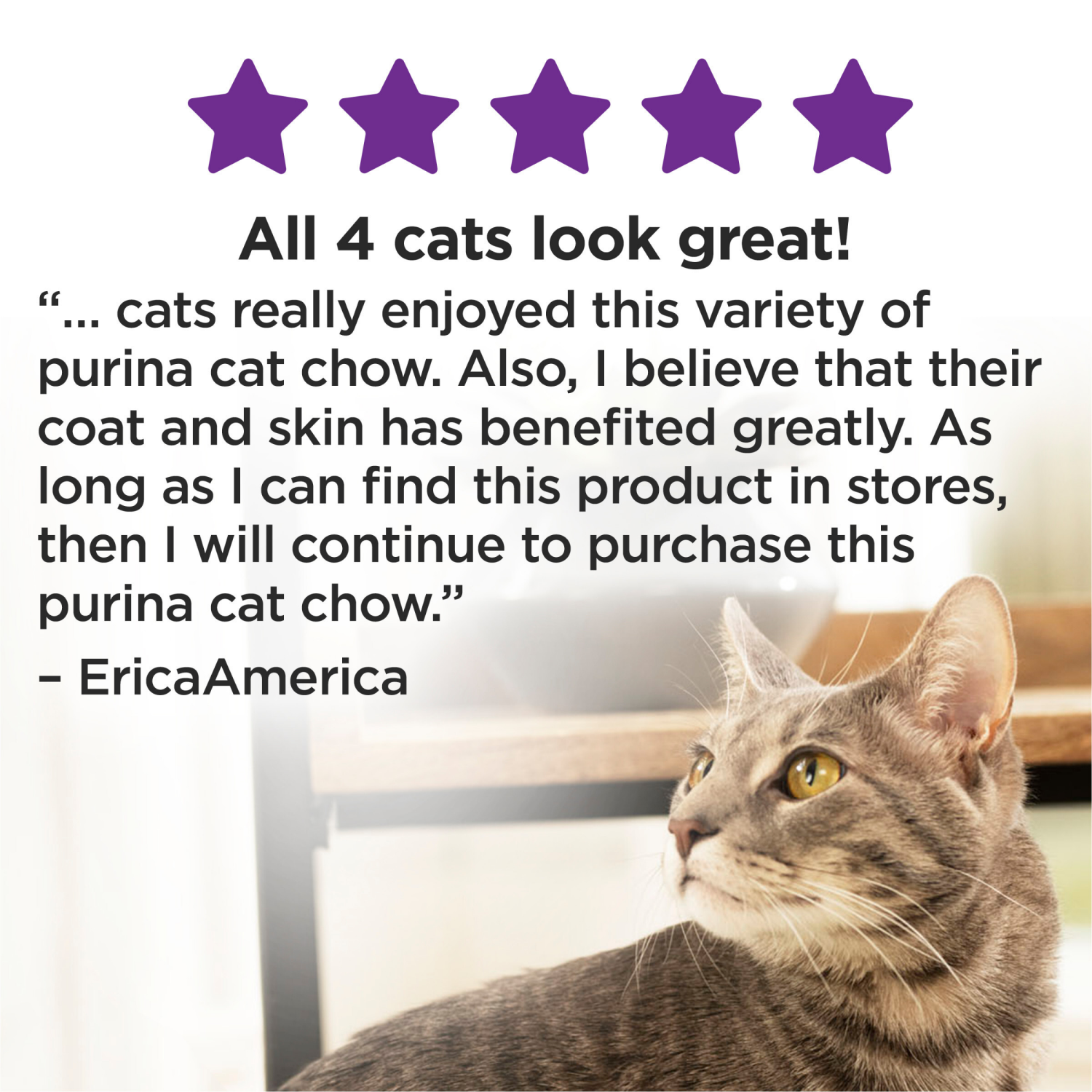 slide 6 of 8, Cat Chow Purina Cat Chow Gentle Dry Cat Food, Sensitive Stomach + Skin - 6.3 lb. Bag, 1 ct