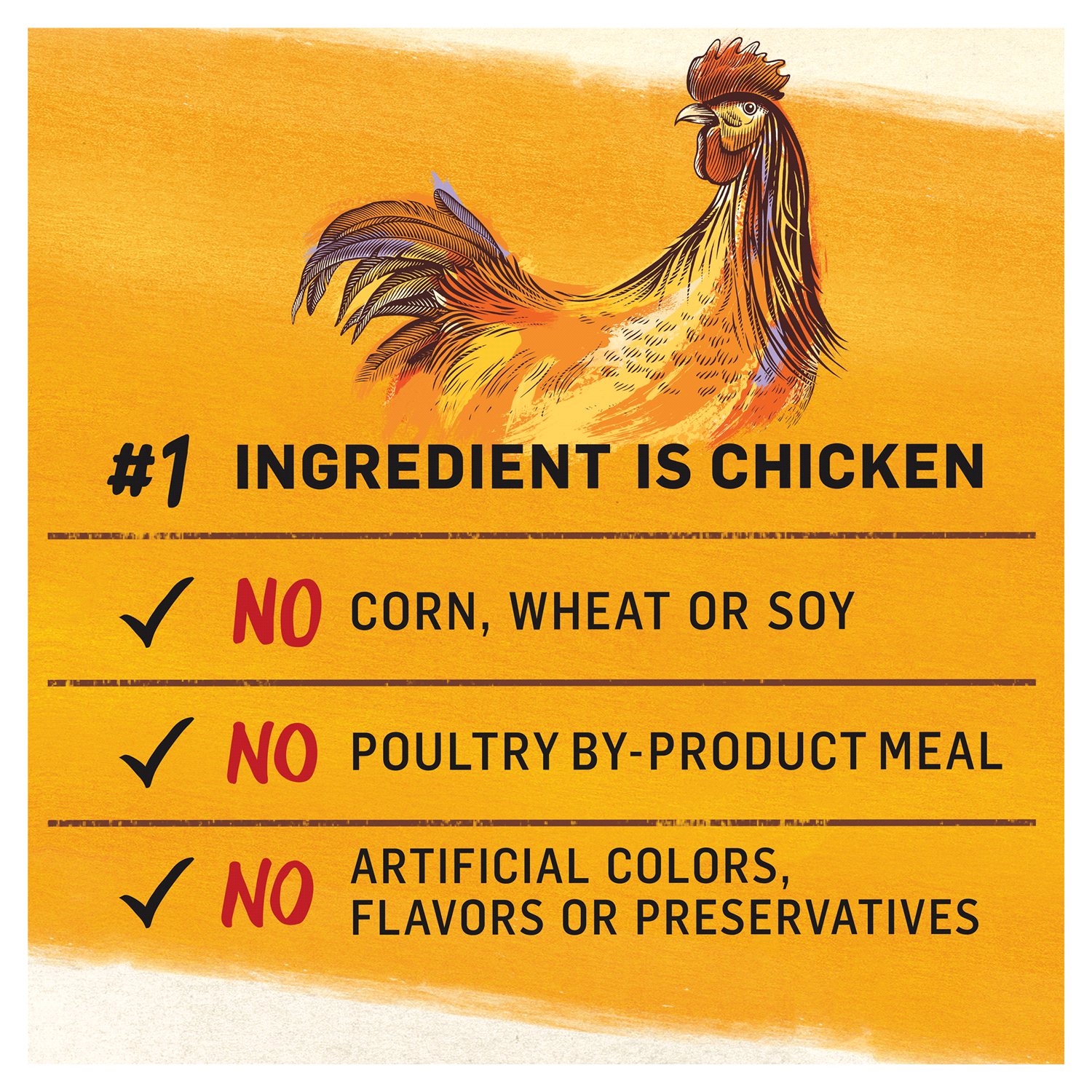 slide 3 of 5, Purina Beyond Grain Free White Meat Chicken and Egg Recipe Natural Cat Food High Protein Cat Food Dry Formula - 5 lb. Bag, 5 lb