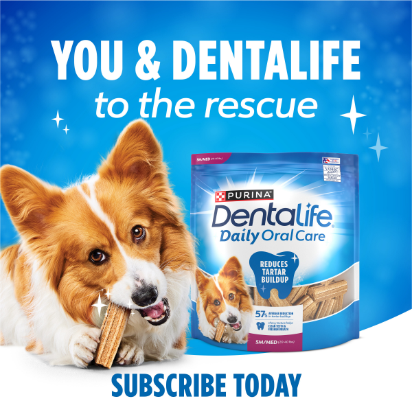 slide 22 of 29, DentaLife Purina DentaLife Made in USA Facilities Small/Medium Dog Dental Chews, Daily, 28.5 oz