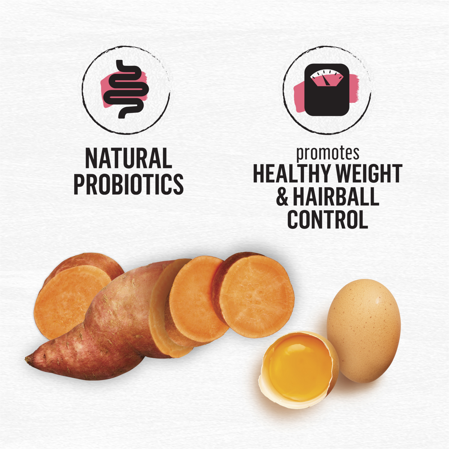 slide 6 of 8, Purina Beyond Natural Grain Free Dry Cat Food Simply Indoor Salmon, Egg and Sweet Potato Recipe, 11 lb